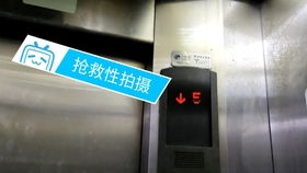 溫州文化商品市場的西子奧的斯貨梯